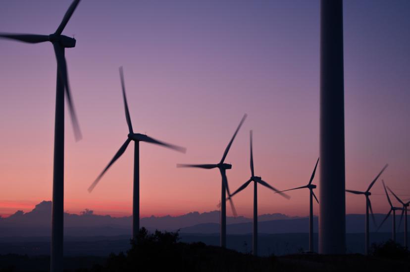 Sustainability Tag Image